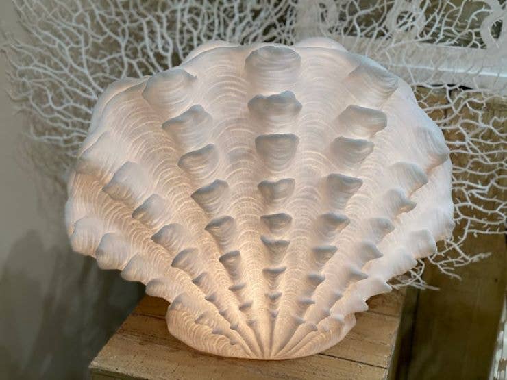 Standing Scallop, 14x8"
